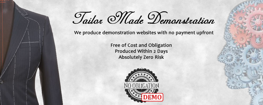 Demo website that shows off the design and functionality of a website free of charge.