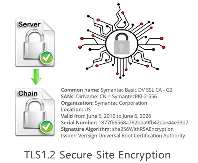 Perfect Pixels Web Design Network Security TLS hacking ARP Spoofing